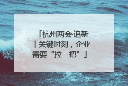 杭州两会·追新丨关键时刻，企业需要“拉一把”